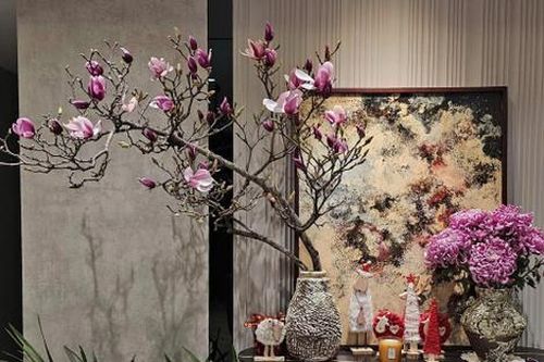 Chơi hoa mộc lan thành hot trend cận Tết, khách hàng chẳng ngại bỏ tiền triệu để rinh về