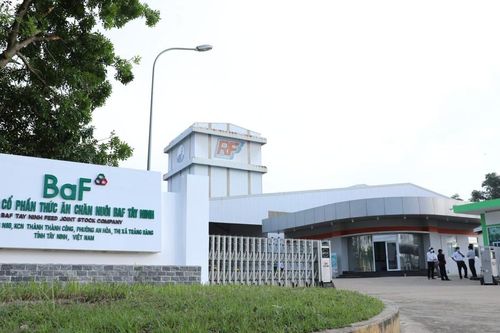BAF Việt Nam mở rộng đế chế, thâu tóm hàng loạt công ty chăn nuôi