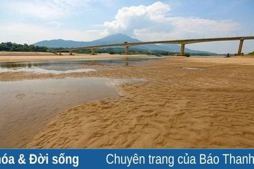 Nói với cây cầu