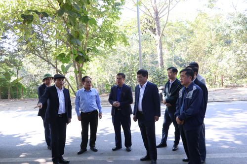 Bí thư Tỉnh ủy Trần Quốc Cường kiểm tra công tác trồng, chăm sóc hoa ban tại TP. Điện Biên Phủ