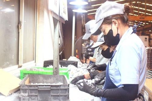 Tất bật hoàn thành đơn hàng trước Tết