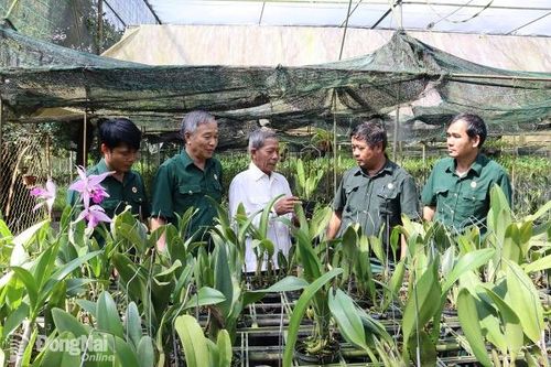 Cựu chiến binh gương mẫu, trách nhiệm