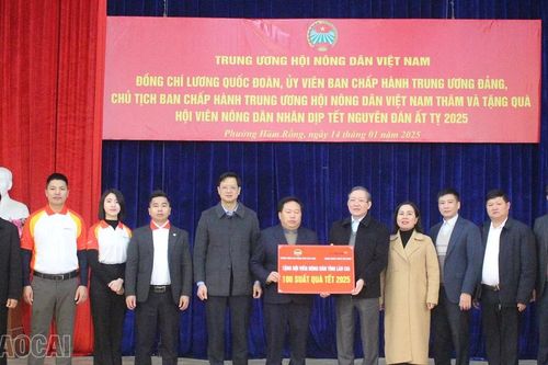 Trung ương Hội Nông dân Việt Nam tặng quà tết cho hội viên nông dân có hoàn cảnh khó khăn tại Sa Pa