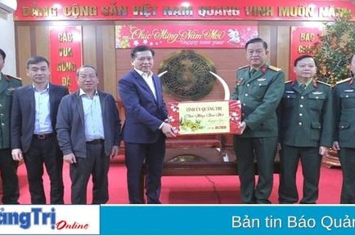 Bí thư Tỉnh ủy Nguyễn Long Hải thăm, chúc Tết Sư đoàn 968