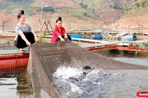Nuôi thủy sản theo hướng bền vững