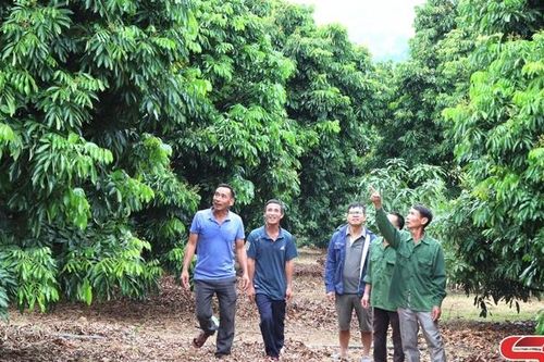 Thêm những mùa xuân ấm áp