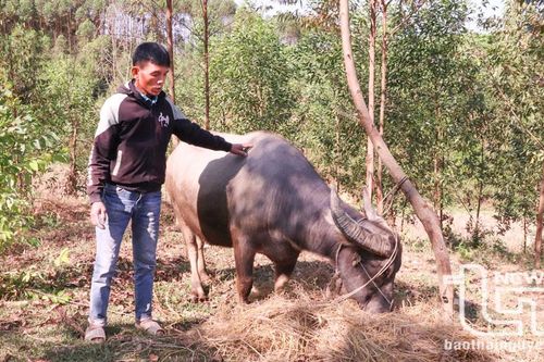 Phú Bình: Gần 17.000 món vay được giảm lãi suất