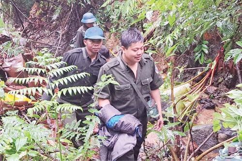 Ngăn chặn tình trạng lấn chiếm rừng tự nhiên
