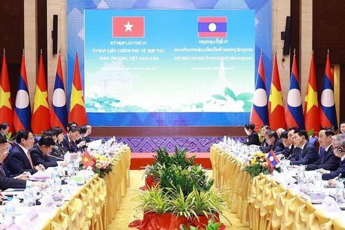 Khối doanh nghiệp tại Lào của Cao su Việt Nam (GVR) 'thắng lớn', quản lý hơn 26.600 ha cao su