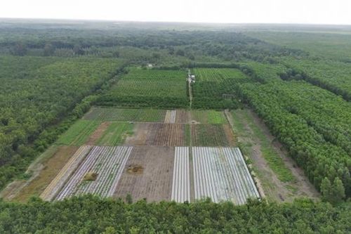Đồng Nai: Phê duyệt quy hoạch Trung tâm nghiên cứu khoa học công nghệ hạt nhân tại Long Khánh