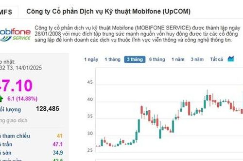 Cổ phiếu 'nhà' Mobifone và VNPT đua nhau 'bốc đầu'