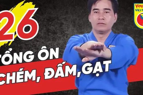 LIVE Tinh hoa võ Việt - Tập 26: Tổng ôn bộ chém, đấm, gạt