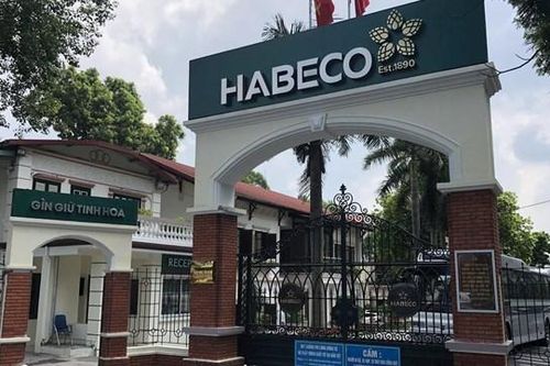 Habeco (BHN) dự chi hơn 266 tỷ đồng trả cổ tức năm 2023, bổ nhiệm thành viên Hội đồng quản trị