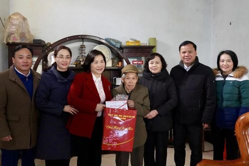 Phó Chủ tịch UBND tỉnh Nguyễn Bích Ngọc tặng quà Tết tại huyện Nguyên Bình
