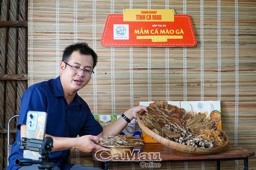 Kỳ vọng những 'ngôi sao' OCOP