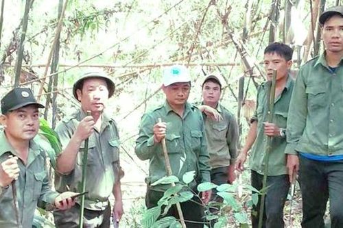 Bảo vệ động vật quý hiếm ở Kon Tum dịp Tết
