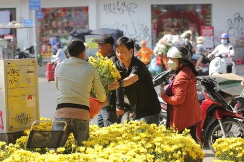 Chuyên gia chỉ cách nhận biết hoa nhập khẩu từ Trung Quốc và hoa trồng trong nước