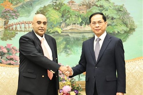 Phó Thủ tướng Bùi Thanh Sơn tiếp Chủ tịch Tập đoàn Makara Capital