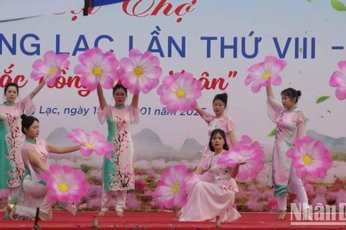 Khai mạc Hội chợ hoa đào Quảng Lạc, thành phố Lạng Sơn lần thứ 8