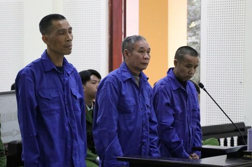 Bạn tù lại vào tù vì ma túy