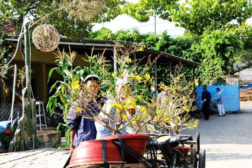 Đi qua chợ Tết