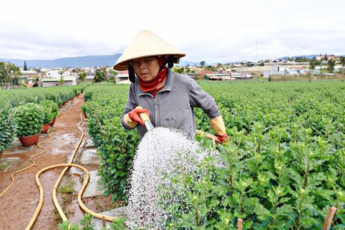 Cảnh báo thủ đoạn lừa đảo mua nông sản rồi 'quỵt tiền'