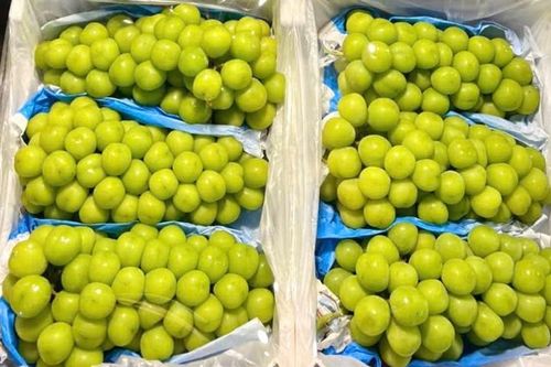 Cận Tết, nho sữa 'quý tộc' giá rẻ đổ bộ chợ Việt