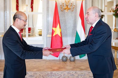 Đại sứ Bùi Lê Thái trình Thư ủy nhiệm lên Tổng thống Hungary Sulyok Tamás