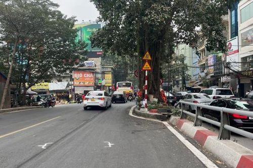 Cần sớm khắc phục tình trạng đèn tín hiệu, biển báo giao thông bị che khuất