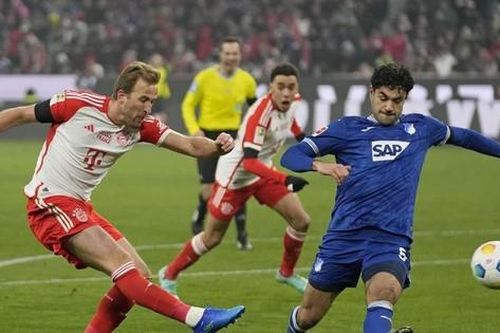 Nhận định Bayern Munich vs Hoffenheim, 02h30 ngày 16/1: Hùm xám gầm vang