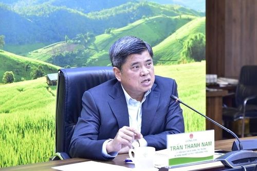 Vụ giá đỗ 'ngậm' chất cấm: Thứ trưởng Bộ Nông nghiệp nói thẳng nhiều sự thật