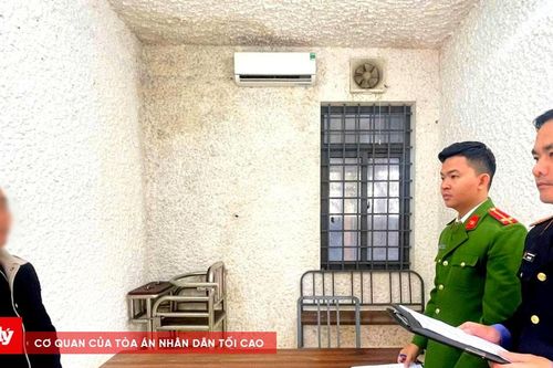 Giấu hơn 400 viên ma túy tại nhà bố mẹ đẻ để sử dụng