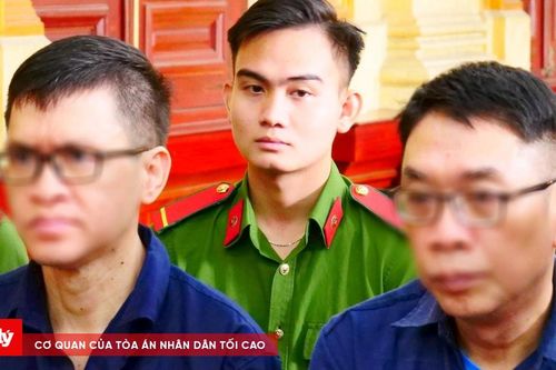 Bị cáo Đinh Minh Hiệp: Muốn dùng hết sức mình để phát triển dự án Nấm nhưng vi phạm về đấu thầu