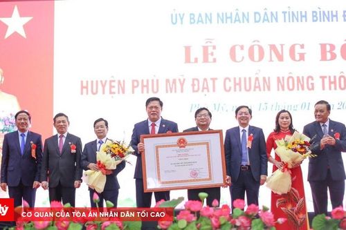 Phó Thủ tướng Hồ Đức Phớc dự lễ công bố huyện Phù Mỹ đạt chuẩn huyện nông thôn mới