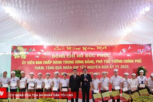 Phó Thủ tướng Hồ Đức Phớc thăm và tặng quà Tết tại Bình Định