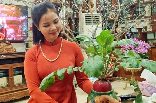 Chị em rủ nhau trồng củ 'thần tài' dáng tròn trĩnh, đỏ như son mong đón tài lộc