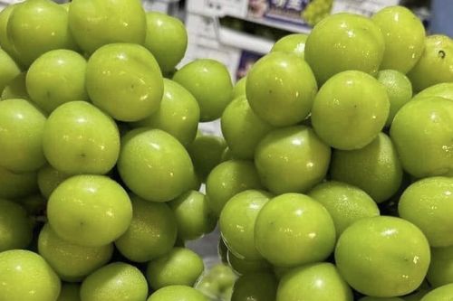Nho sữa bị phát hiện có chất độc hại ở Thái, hàng vẫn đổ về chợ Việt giá siêu rẻ