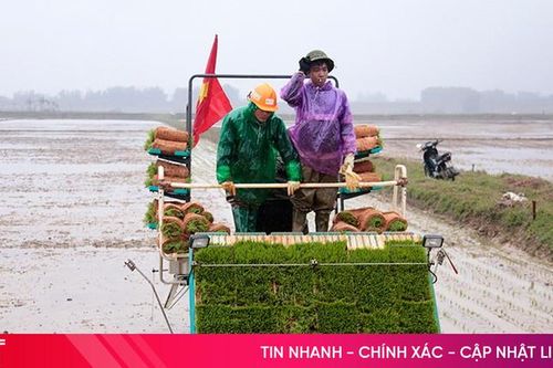 Sử dụng máy cấy lúa trên đồng ruộng Nghi Xuân
