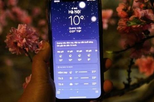 Bất ngờ cảnh tượng của người bán đào quất những ngày này