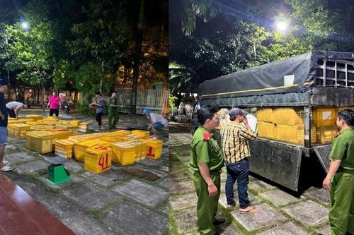 Kiên Giang: Bắt quả tang hơn 1 tấn tôm bơm tạp chất đang đi tiêu thụ