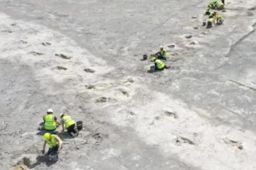 'Thế giới đã mất' hiện ra giữa mỏ đá, gây sốc cho khoa học
