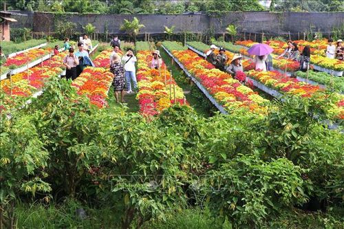 Điểm đến du lịch làng nghề truyền thống - Bài cuối: Chung tay 'níu chân' du khách