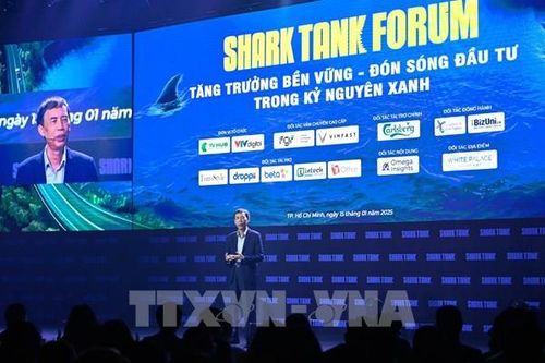 Cơ hội 'gọi vốn' trong kỷ nguyên xanh và số