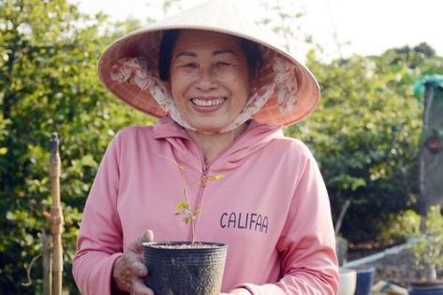 Long An: Đời sống của hội viên, phụ nữ khấm khá hơn nhờ cây mai vàng