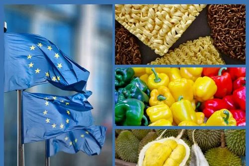 EU thay đổi quy định về nhập khẩu sản phẩm