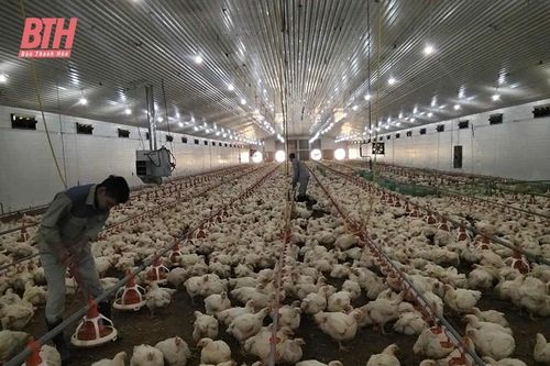Nhiều mô hình nông nghiệp thông minh, thích ứng biến đổi khí hậu