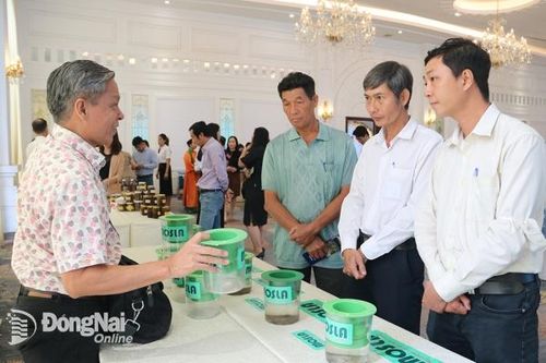 Bảo vệ quyền sở hữu trí tuệ nhằm tránh rủi ro