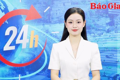 Gia Lai 24h: Cháy trang trại ở Ia Grai làm chết 1.600 con heo, ước thiệt hại 6,4 tỷ đồng