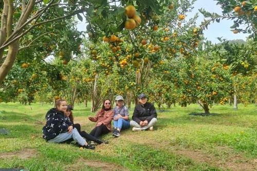 Phát triển du lịch nông thôn gắn với xây dựng nông thôn mới