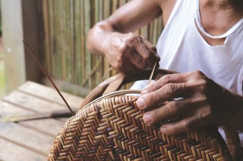 Chiếc ghế mây của cha